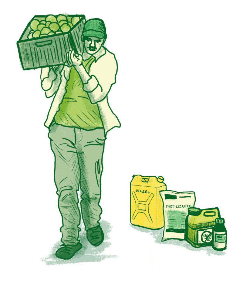 Productor de limón persa